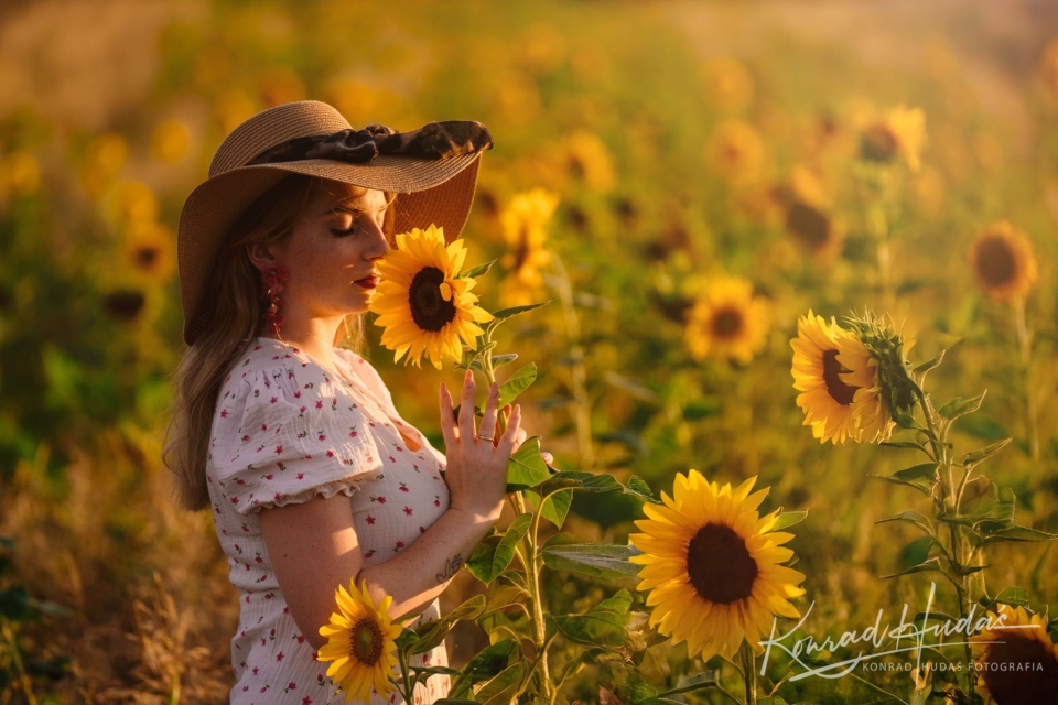 Sesja portretowa w słonecznikach